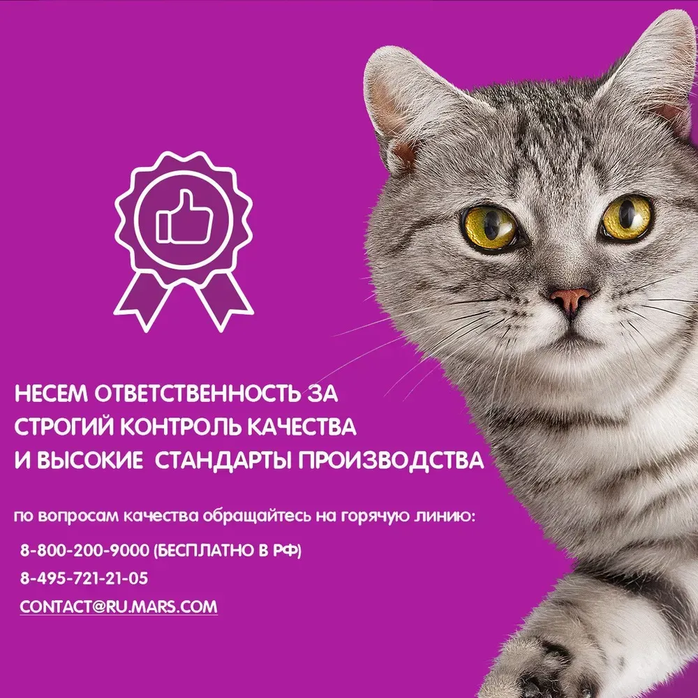 Сухой корм WHISKAS для взрослых кошек «Вкусные подушечки с нежным паштетом. 5кг Бишкек - изображение 2