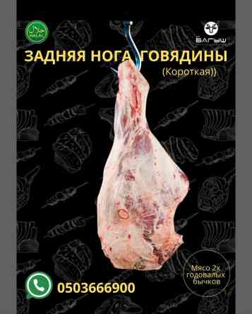 Говядина : Голень, До 1 кг, 1 кг, 2 кг, Самовывоз, Бесплатная доставка, Платная доставка Бишкек
