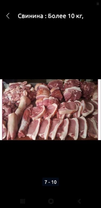 Свинина : Более 10 кг, Самовывоз Бишкек - изображение 2
