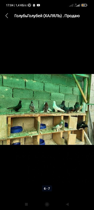 До 1 кг Бишкек - изображение 1