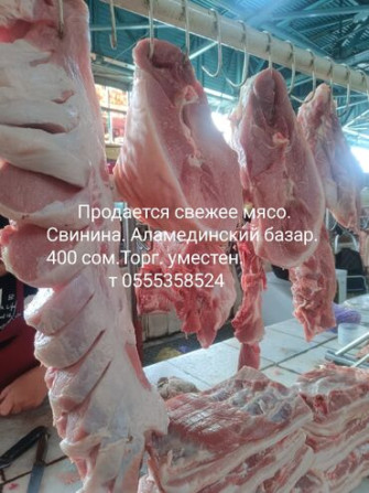 Свинина : 3 кг, Самовывоз Бишкек - изображение 1