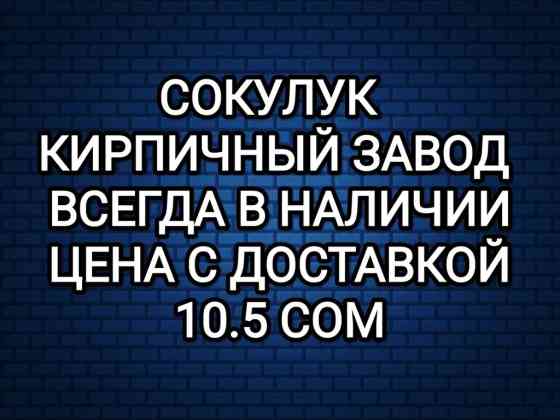 Пустотелый, дырчатый, Жженый кирпич, Одинарный, 250×120×65 Бишкек