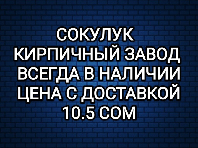 Пустотелый, дырчатый, Жженый кирпич, Одинарный, 250×120×65 Бишкек - изображение 1