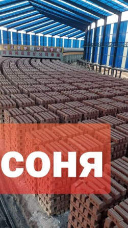 Пустотелый, дырчатый, Жженый кирпич, Полублок, 250×120×90 Бишкек - сүрөт 1