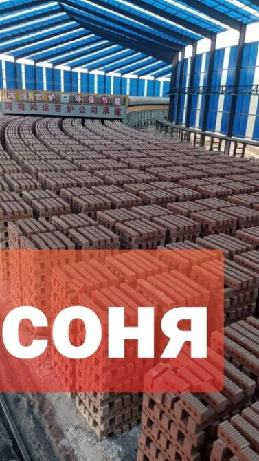 Пустотелый, дырчатый, Жженый кирпич, Полублок, 250×120×90 Бишкек - изображение 1