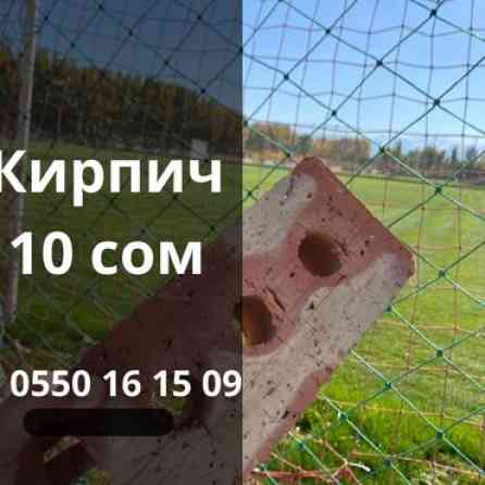 Пустотелый, дырчатый, Жженый кирпич, Полублок, 250×120×88 Бишкек