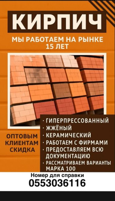 Пустотелый, дырчатый, Жженый кирпич, Полублок, 250×120×90 Бишкек - изображение 5