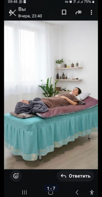 Термоодеяло (инфракрасное/тепловое) Описание: - Электрическое Бишкек - изображение 4