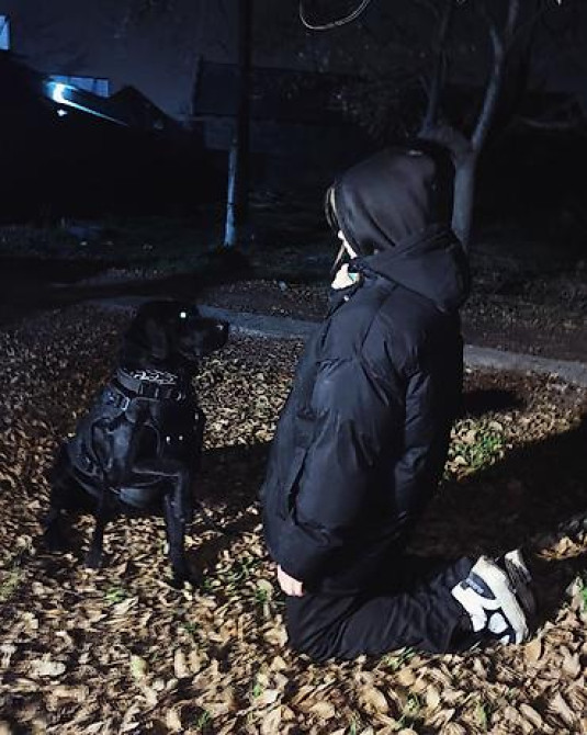 Вязка: Лабрадор-ретривер, Самец, 2 года, С прививкой Бишкек - изображение 3