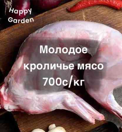 Крольчатина : Голень, Лопатка, Ножки, 1 кг, 2 кг, Бесплатная доставка, Платная доставка Бишкек