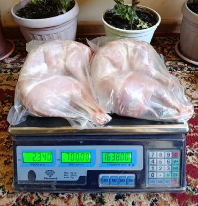 Крольчатина : Голень, Лопатка, Ножки, 1 кг, 2 кг, Бесплатная доставка, Платная доставка Бишкек - изображение 4