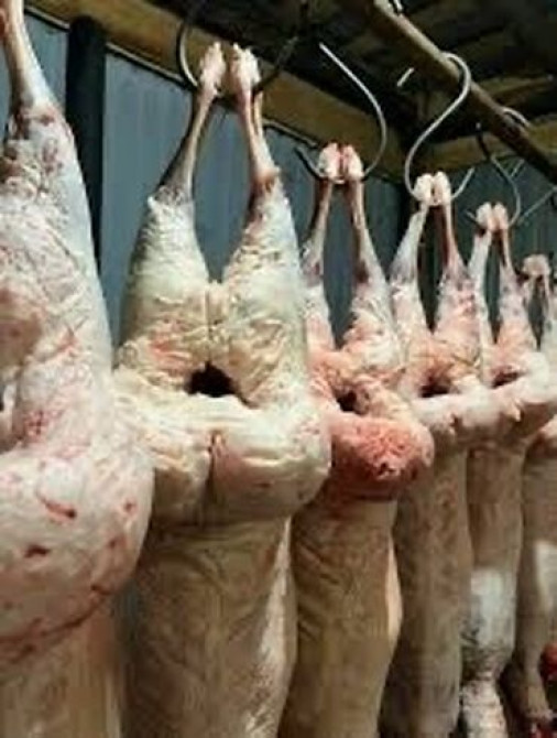 Баранина : Более 10 кг Бишкек - изображение 1