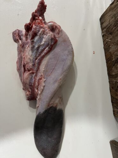 Говядина : Язык, Более 10 кг Бишкек - изображение 3