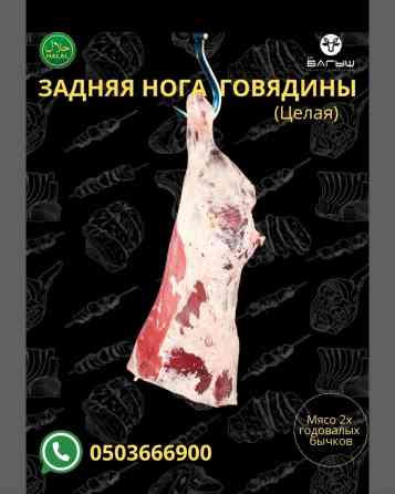 Говядина : До 1 кг, 1 кг, 2 кг, Самовывоз, Бесплатная доставка, Платная доставка Бишкек