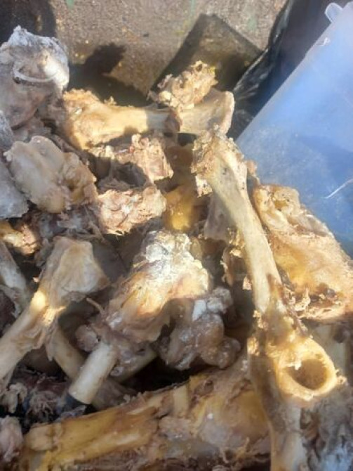 Говядина : Кости, 10 кг, Самовывоз Бишкек - изображение 3