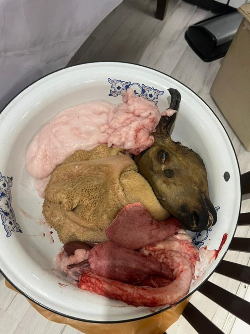 Голова, Более 10 кг Бишкек - изображение 1