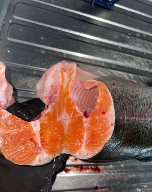 Куплю форель на постоянную основу сразу с доставкой нам в магазин Бишкек - изображение 1