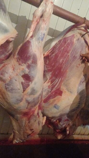 Говядина : Более 10 кг, Бон-филе, Бесплатная доставка Бишкек - изображение 4