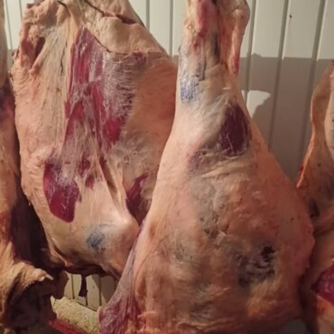 Говядина : Более 10 кг, Бон-филе, Бесплатная доставка Бишкек - изображение 1