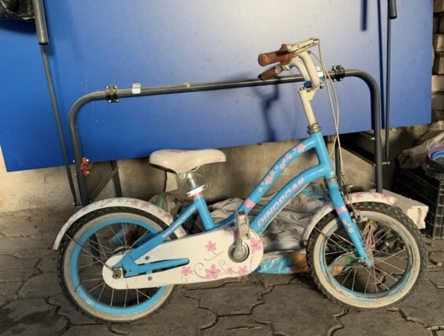 Детский велосипед, 2-колесный, 4 - 6 лет, Для девочки, Б/у Bishkek - photo 1