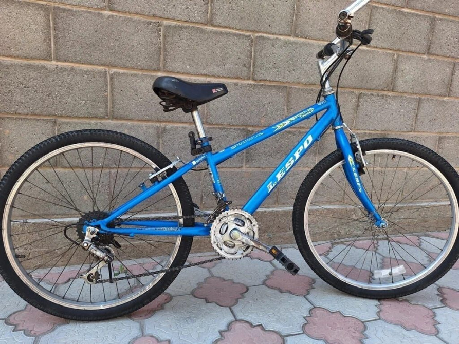 Детский велосипед, 2-колесный, 9 - 13 лет, Для мальчика, Б/у Bishkek - photo 1