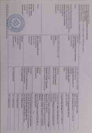 Вязка: Восточноевропейская овчарка, Самец, 5 лет Бишкек