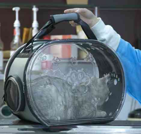 Переноска для животных. сумка для собак и кошек. размеры ширина Бишкек