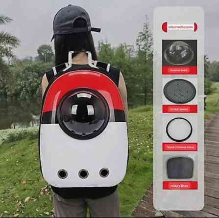 Рюкзак‑переноска для домашних животных с панорамным «иллюминатором» Бишкек