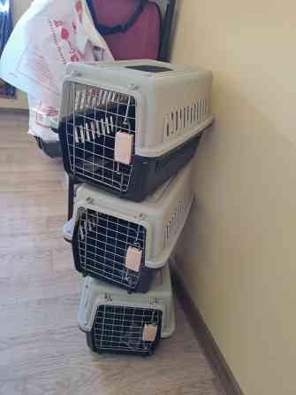 Зоотовары переноска для животных пластиковая размер 48 32 30 цена 900 Бишкек