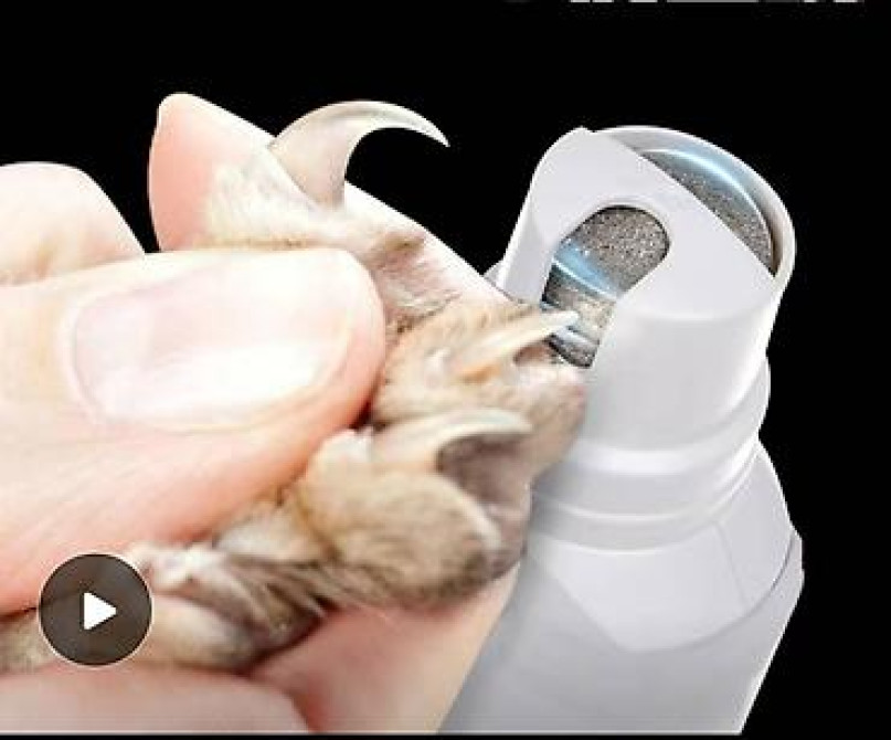 Зоотовары. животные. Точилка для когтей. зарядка через USB Бишкек - изображение 1