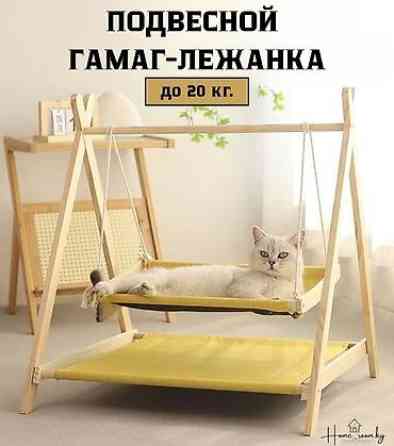 ???? Подарите Вашему Пушистому Другу Райский Уголок! ???? Представляем Бишкек