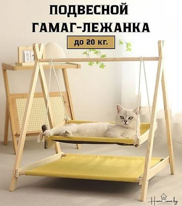 ???? Подарите Вашему Пушистому Другу Райский Уголок! ???? Представляем Бишкек - изображение 1