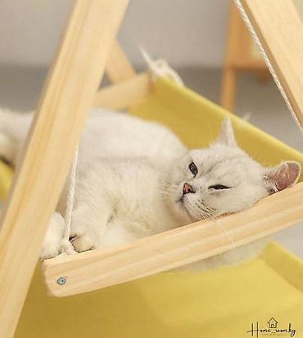 ???? Подарите Вашему Пушистому Другу Райский Уголок! ???? Представляем Бишкек - изображение 2