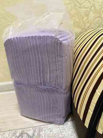 Продаю щенок порода Шпиц Набор для ухода за небольшими собаки - Бишкек