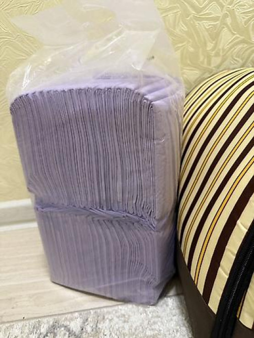 Продаю щенок порода Шпиц Набор для ухода за небольшими собаки - Бишкек - изображение 2