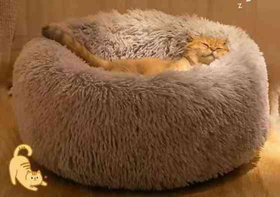 Зоотовары
лежаки диаметр 60 см Бишкек