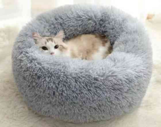 Зоотовары
лежаки диаметр 60 см Бишкек