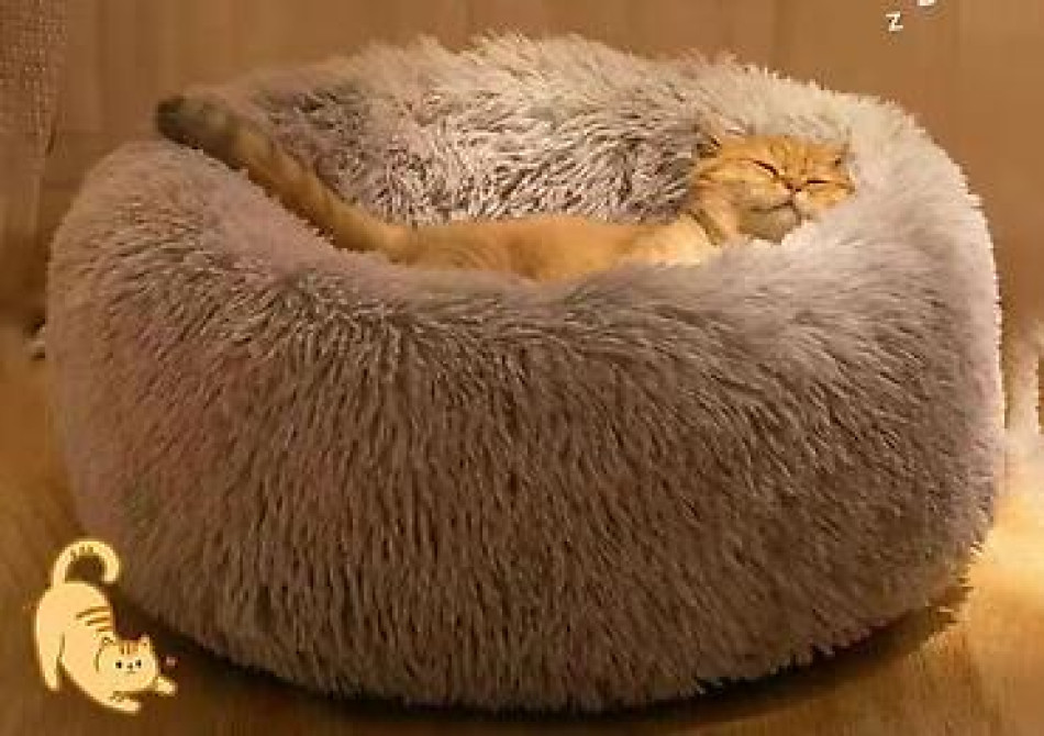 Зоотовары
лежаки диаметр 60 см Бишкек - изображение 3