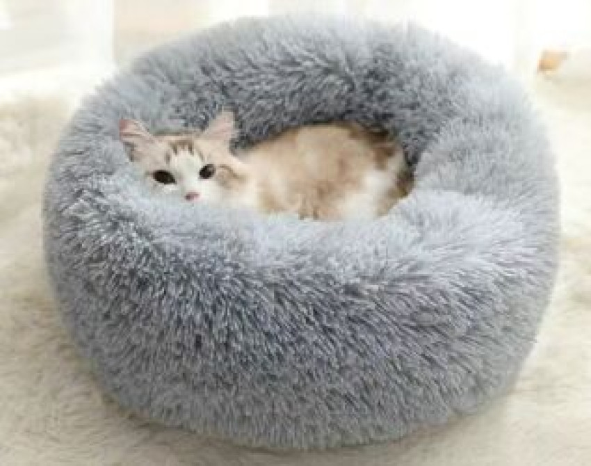 Зоотовары
лежаки диаметр 60 см Бишкек - изображение 1