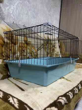 Срочно срочно клетка новая. В идеальном состоянии. В связи с Бишкек
