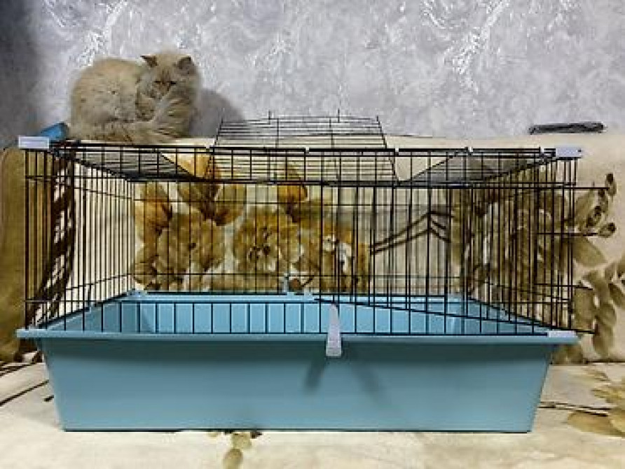 Срочно срочно клетка новая. В идеальном состоянии. В связи с Бишкек - изображение 3