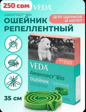 Переноска 1200 сом
Ошейник и удочка дразнилка в подарок Бишкек