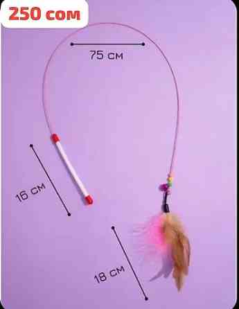 Переноска 1200 сом
Ошейник и удочка дразнилка в подарок Бишкек