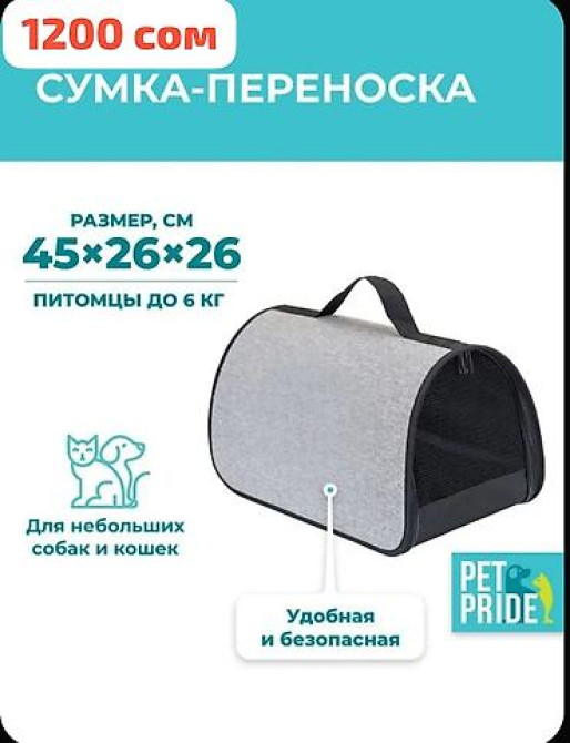 Переноска 1200 сом
Ошейник и удочка дразнилка в подарок Бишкек - изображение 1