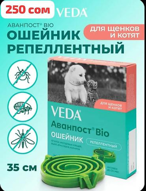 Переноска 1200 сом
Ошейник и удочка дразнилка в подарок Бишкек - изображение 2