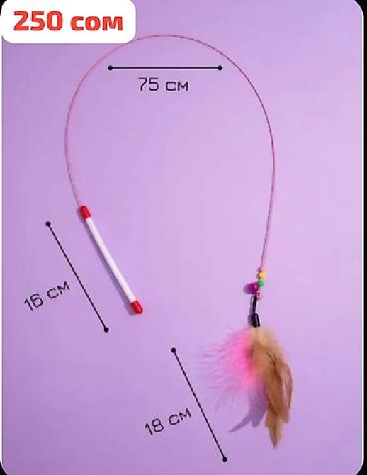 Переноска 1200 сом
Ошейник и удочка дразнилка в подарок Бишкек - изображение 3