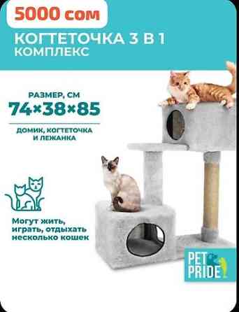 Комплекс 5000 сом
Наполнитель и коврик в подарок Бишкек