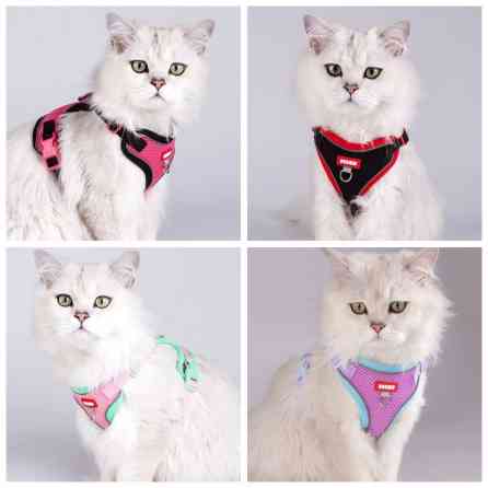 Продаю шлейки для крупных,средних и мелких пород собак по разным Бишкек