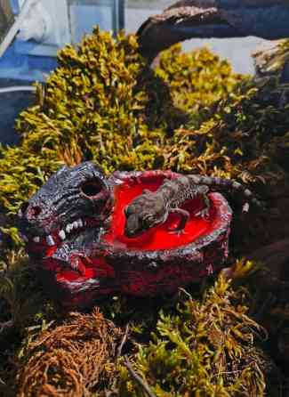 ???? Украшения и декорации для аквариумов и террариумов ???? Продаю Бишкек