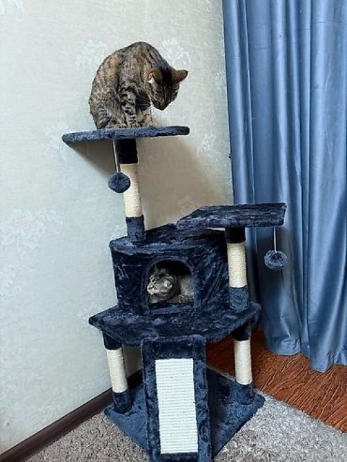 Райский уголок для вашего котика! ???????? Многофункциональный кошачий Бишкек - изображение 3